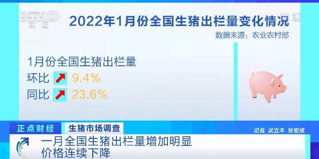 农业农村部：7个月累计调减母猪274万头，产能仍过剩，养户每头亏300元