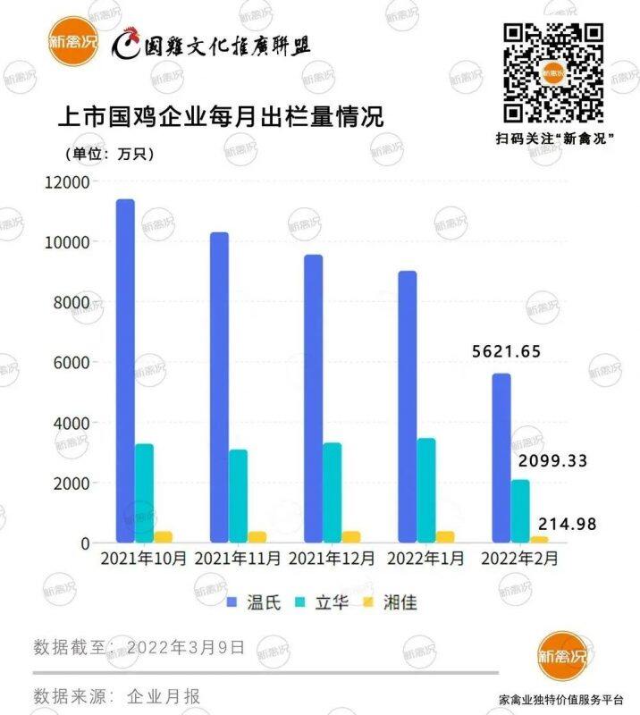 冰点已至？温氏、立华、湘佳2月国鸡出栏量创新低