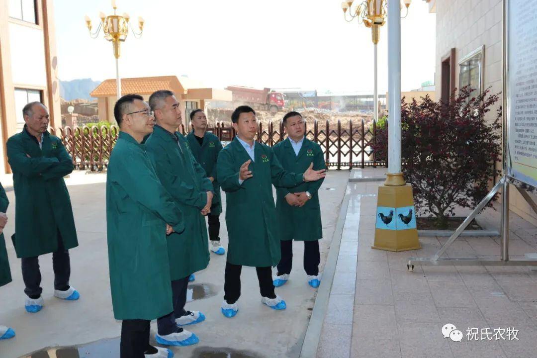 设备先进、保种育种能力出色、企业竞争力强!祝氏农牧获得区农业厅调研组肯定