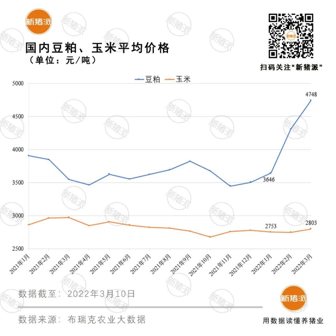 豆粕疯涨至5000元/吨，新希望六和、禾丰、通威、铁骑力士应声涨价，养猪成本又要涨