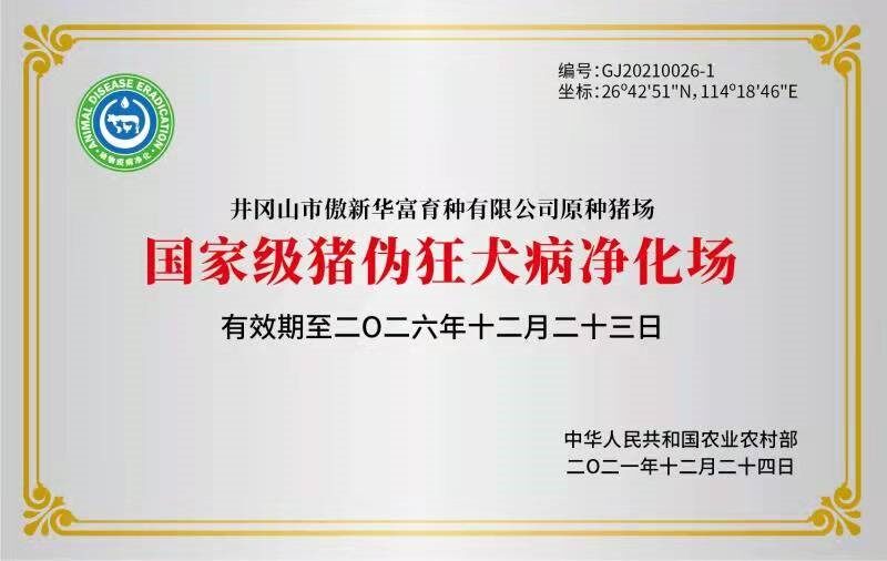 傲新华富：种猪育种及猪病净化齐头并进，断奶仔猪成本低至298元