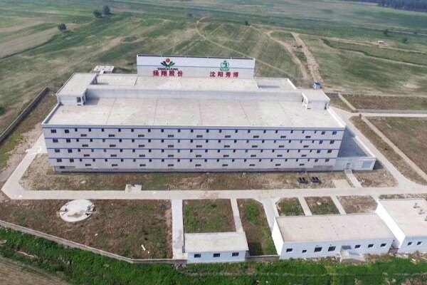 迅速启动应急机制！全力以赴为猪场生产“保驾护航”