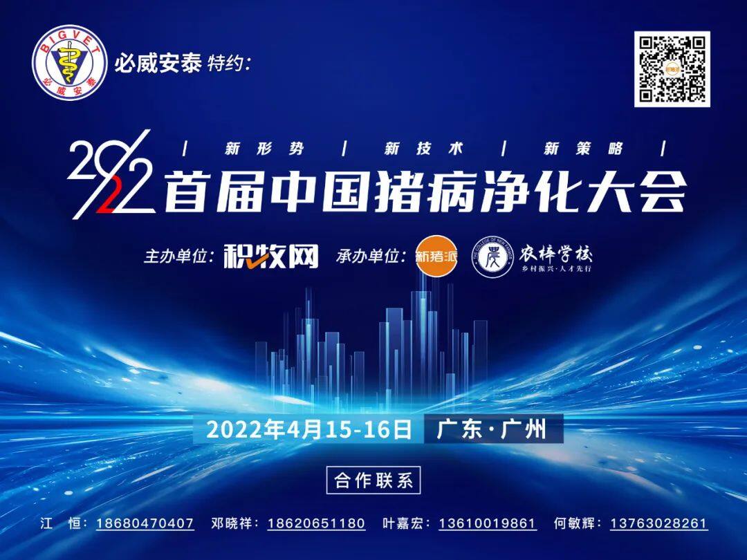 净化抢效益！2022首届中国猪病净化大会定于4月15-16日在广州召开