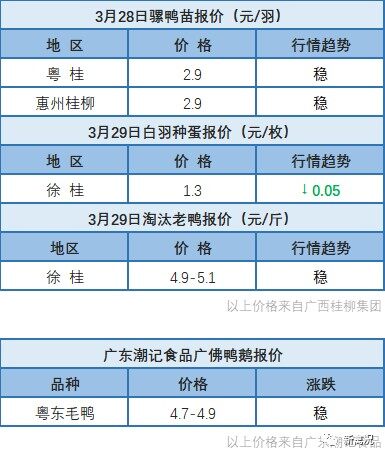 3月28日 廣東地區(qū)水禽價(jià)格穩(wěn)定，福建水禽價(jià)格上調(diào)【水禽價(jià)格指數(shù)】