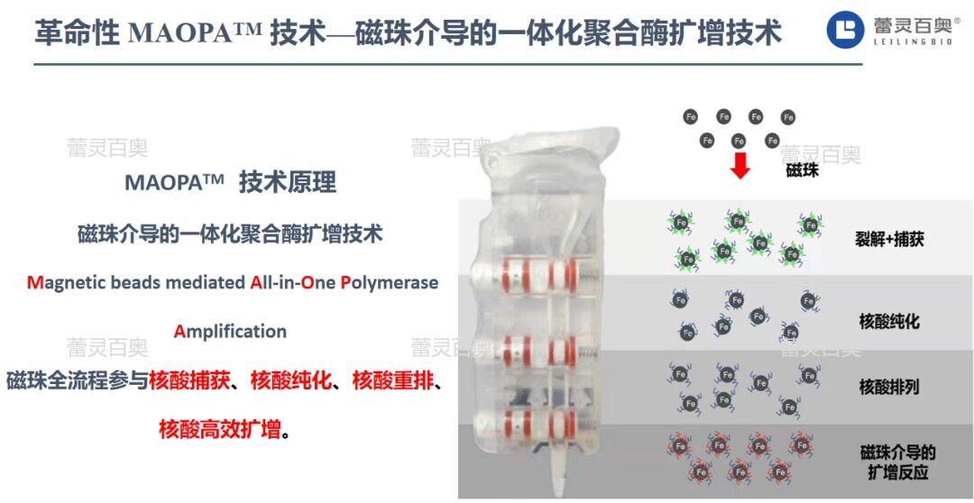 革命性MAOPA™技术——磁珠介导的一体化聚合酶扩增技术