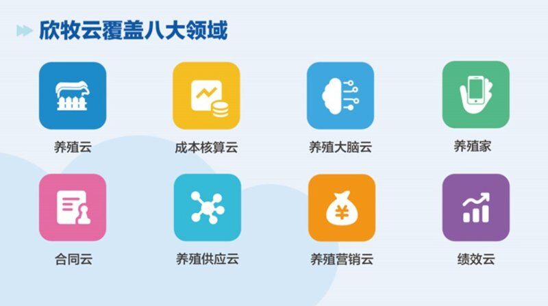 欣农互联智慧养殖云产品正式发布,助力猪业成本领先!