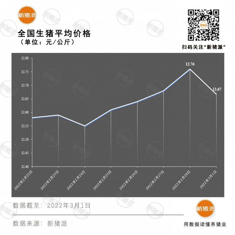 23省区猪价齐跌！多地启动猪肉收储，能否逆转颓势？|新猪派猪价