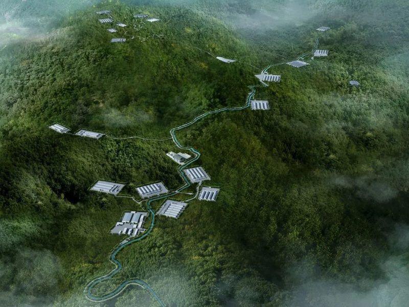 圣农旗下圣泽生物获评国家高新技术企业,打造自主育种标杆!