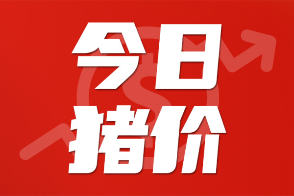 3月31日：最高涨幅0.3元/斤，猪价大部飘红，拐点快到了吗？|新猪派猪价