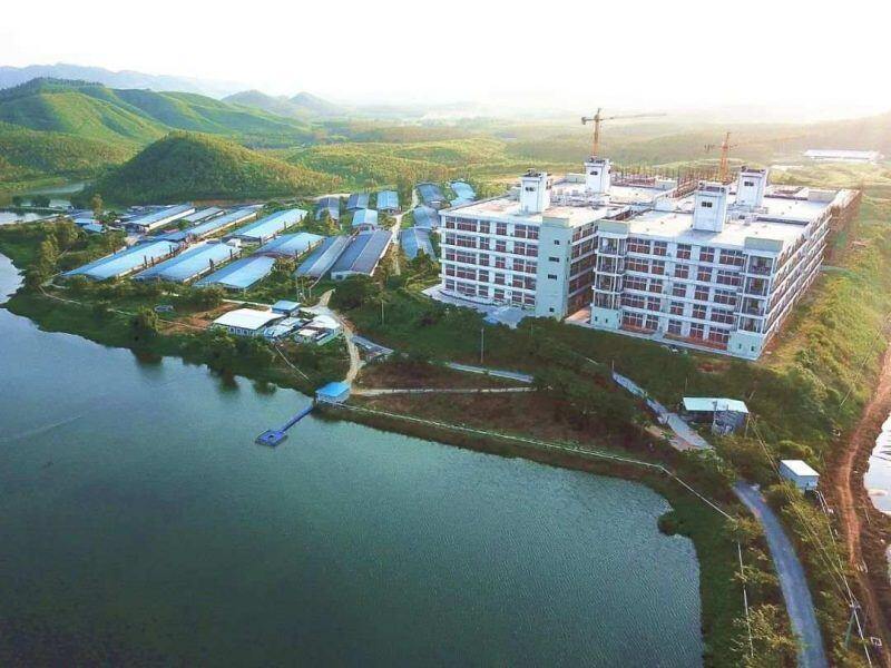 最高17层！广东已建楼房养猪170多家，助力标准化规模养殖转型