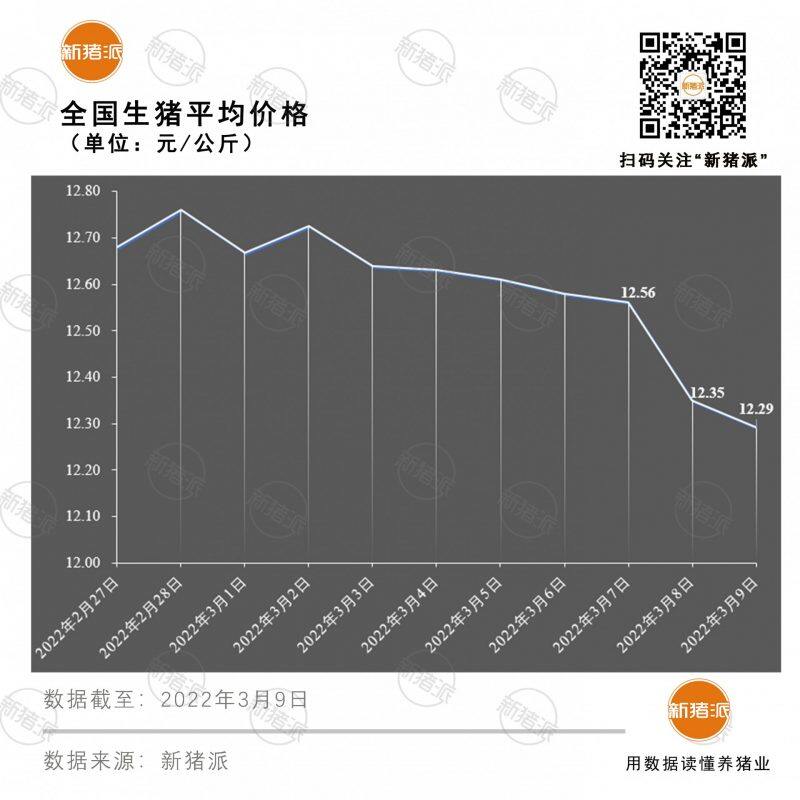 3月9日：全国猪价跌势渐缓，平均12.29元/公斤|新猪派猪价