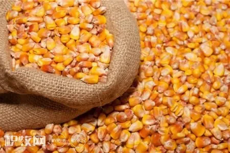 国家发改委：将加大玉米、大豆保供稳价工作力度，坚决打击资本恶意炒作