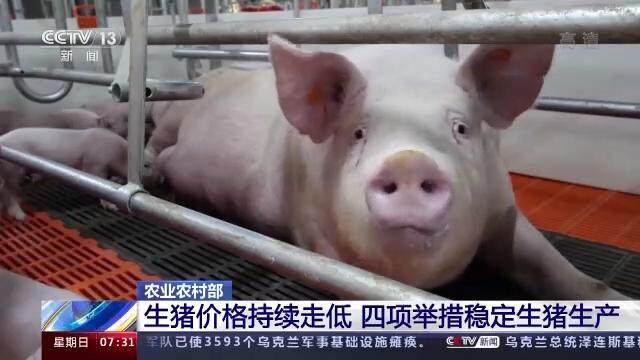 玉米每噸漲百元，正大、播恩等宣布飼料漲價(jià)！豬價(jià)即將探底，養(yǎng)豬虧損還會(huì)加大