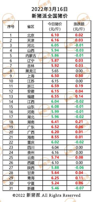 3月16日：多地豬價回漲，最高漲幅0.5元/斤！海南豬價8.6元/斤|新豬派豬價