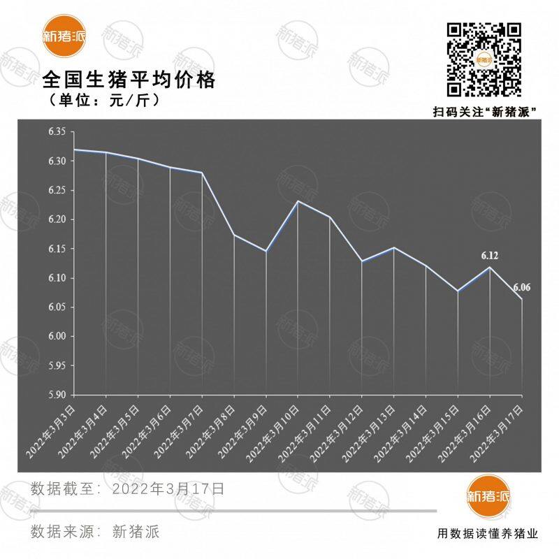 3月17日：猪价大面积下跌，最低5.3元，仅一省份猪价高于6.5元|新猪派猪价