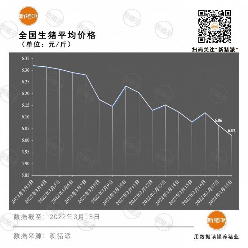 3月18日：猪价均价即将跌破6元，3、4月或将继续探底|新猪派猪价
