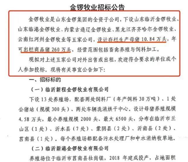 一头猪亏900元！豆粕飙涨至5200元，海大、双胞胎、大北农等饲料涨价，养猪要亏到何时？