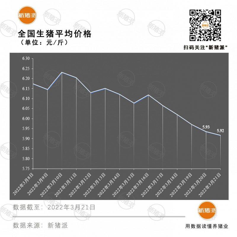 3月21日：猪价跌势减缓，最低5元/斤，后市将继续下跌|新猪派猪价