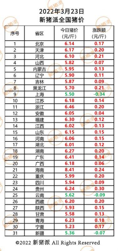 3月23日：要起飞了吗？猪价全线上涨，涨幅最高0.3元|新猪派猪价