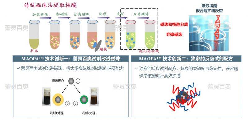 革命性MAOPA™技术——磁珠介导的一体化聚合酶扩增技术