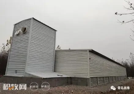 高烽靶向通风实验猪舍生产数据报告出炉，首批170头猪轻松过冬