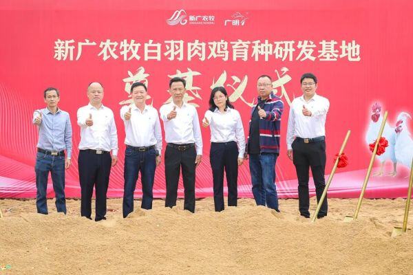 年产父母代800万套！提供1000万羽商品代！新广农牧白羽肉鸡育种研发基地奠基开工