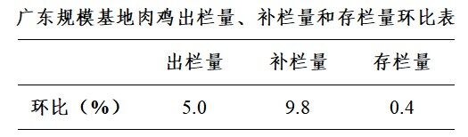 广东禽况 | 家禽一周禽况分析