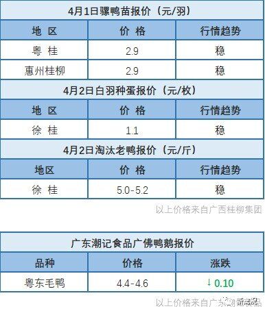 4月1日 维稳！福建地区水禽价格稳定【水禽价格指数】