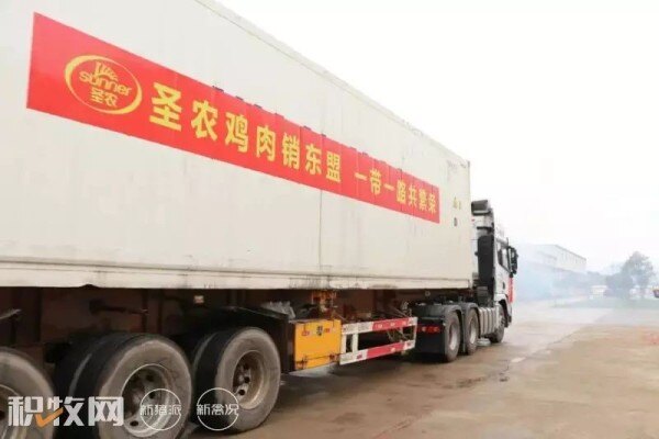 “清明鸡”涨幅超0.6元/斤，蛋价创近5年同期新高，美法遭“最严重”禽流感危机