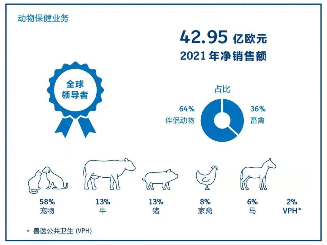 41億歐元！勃林格殷格翰2021年研發投入創歷史新高，未來五年或超250億歐元