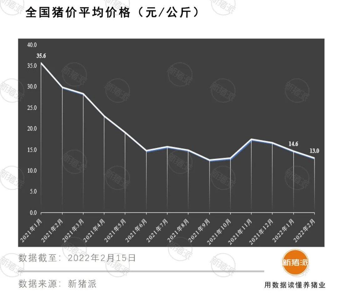 养猪也有智慧，欣农互联助力养猪业成本领先