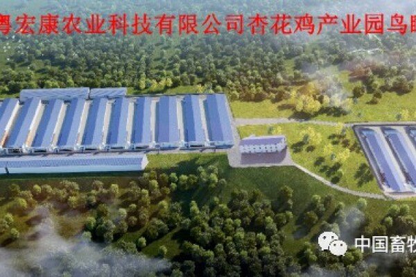 福利养殖！广东粤宏康200万蛋鸡项目奠基开工，预计年产鸡蛋约3.5万吨、3万吨有机肥