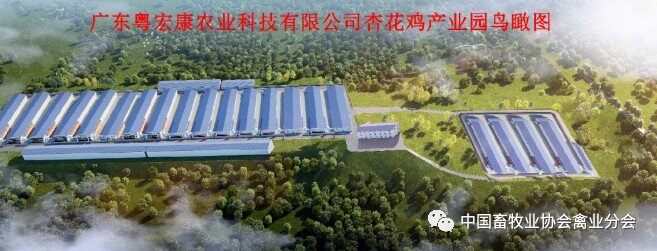 福利养殖!广东粤宏康200万蛋鸡项目奠基开工,预计年产鸡蛋约3.5万吨、3万吨有机肥