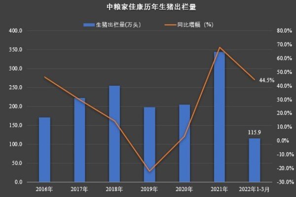 中粮家佳康：一季度出栏生猪115.9万头，猪价下滑，生物资产净亏损2.05亿元
