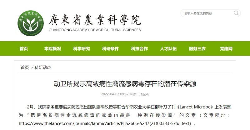 生鸡肉也能传播禽流感?!动卫所揭示高致病性禽流感病毒存在的潜在传染源!