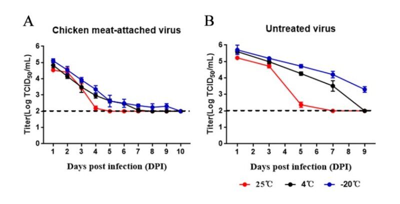 生鸡肉也能传播禽流感?!动卫所揭示高致病性禽流感病毒存在的潜在传染源!