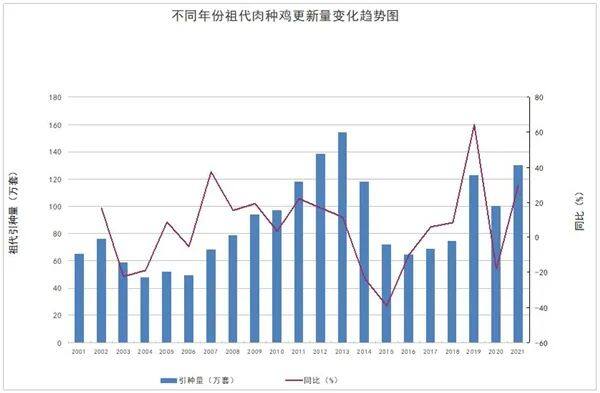 陈合强：开拓需求端，应对白羽肉鸡产能过剩