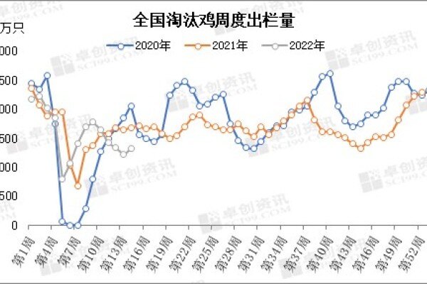 二季度蛋价有回落风险！蛋鸡存栏量触底微增，库存水平不一