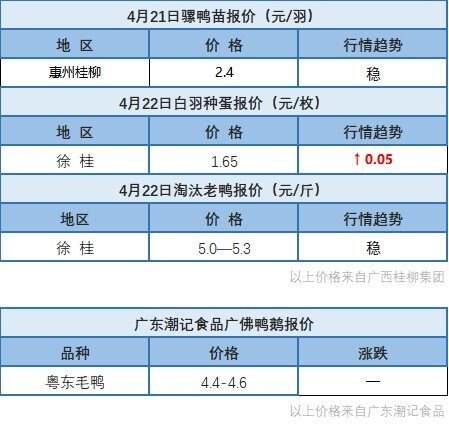 4月21日 廣東、浙江、福建地區(qū)水禽價(jià)格穩(wěn)定【水禽價(jià)格指數(shù)】