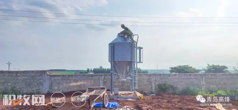 青岛高烽猪场建设优秀项目示例：广东农垦火炬公猪站