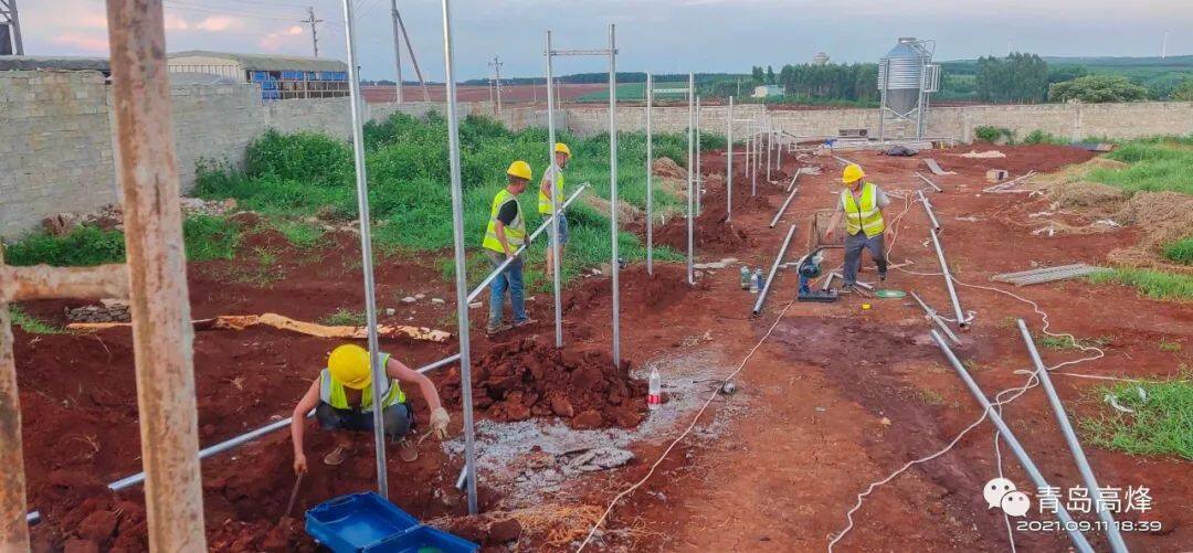 青岛高烽猪场建设优秀项目示例：广东农垦火炬公猪站