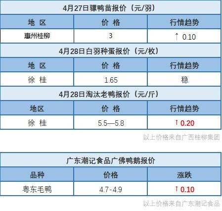 4月27日 水禽苗价格上涨！浙江、福建地区肉鸭价格稳定【水禽价格指数】