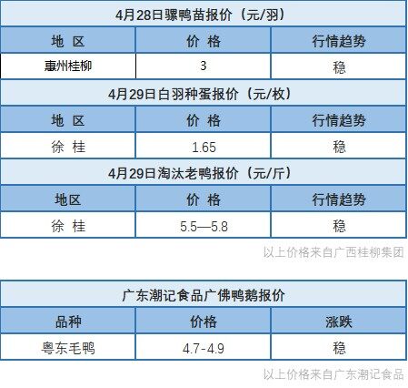 4月28日 广西麻鸭苗价格上涨！福建、两湖地区肉鸭价格稳定【水禽价格指数】