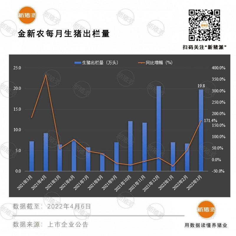 环比暴增193%！金新农3月出栏生猪19.8万头，超前2个月出栏总和