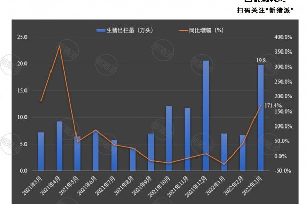 环比暴增193%！金新农3月出栏生猪19.8万头，超前2个月出栏总和