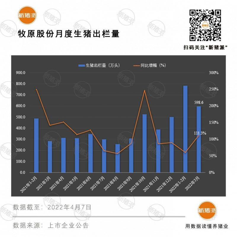 近600万头！牧原3月份生猪出栏量创历史新高，今年出栏或超5000万头