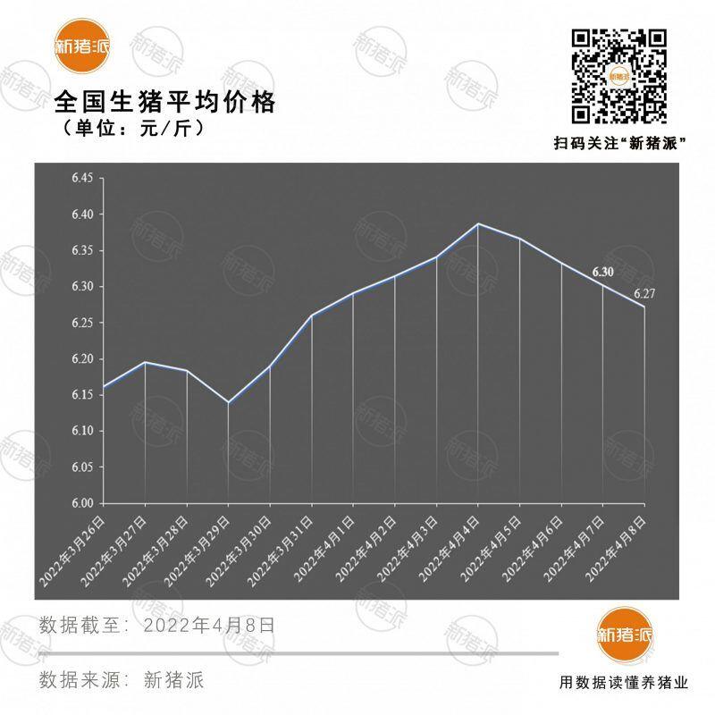 4月8日：上涨动力不足，猪价再度下滑，又要跌跌不休吗？|新猪派猪价