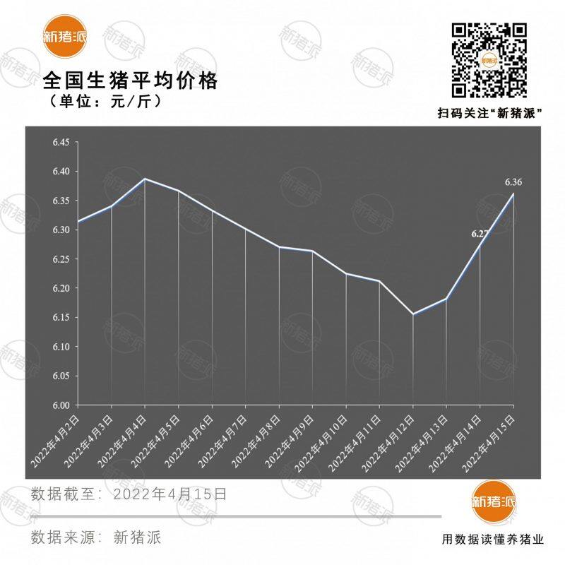 4月15日：涨势迅猛！27省猪价同时上涨，温氏报价7元|新猪派猪价