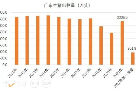 广东：一季度生猪出栏952万头，同比增长14%