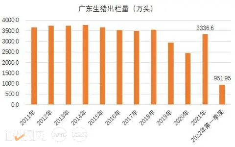 广东：一季度生猪出栏952万头，同比增长14%